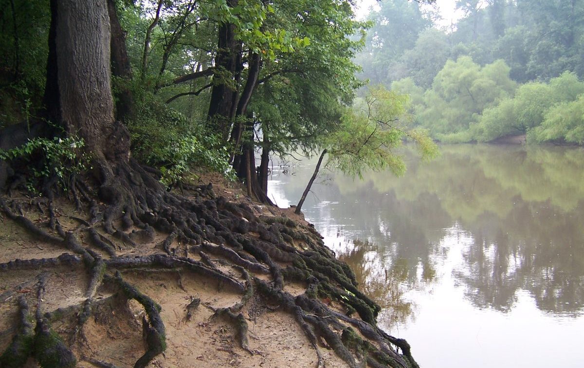 Cliffs of the Neuse State Park